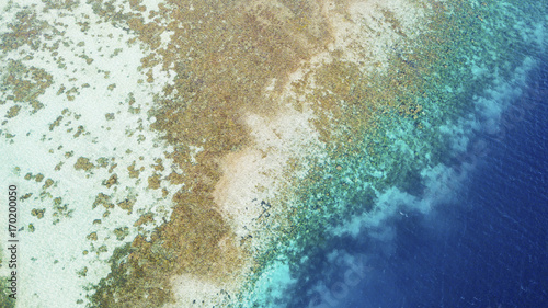 Beautiful coastline with brown algae