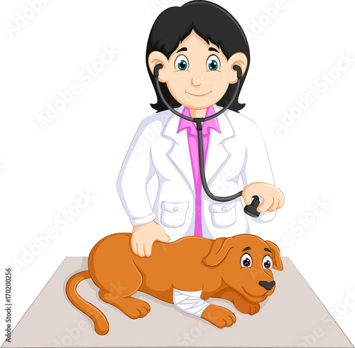 veterinarian 