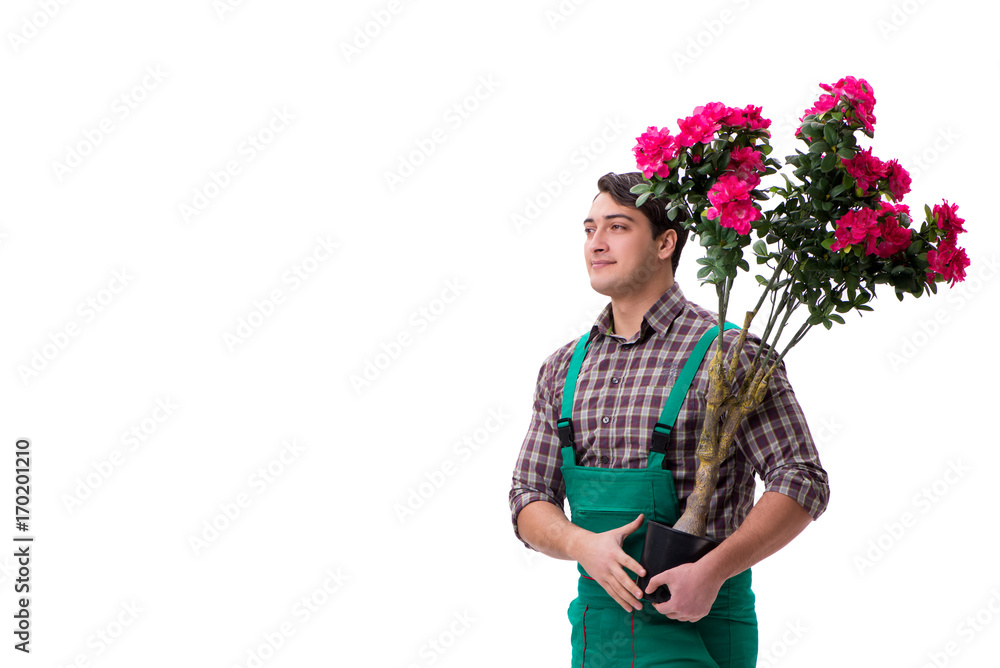 Young man gardener isolated on white Young man gardener isolated on white