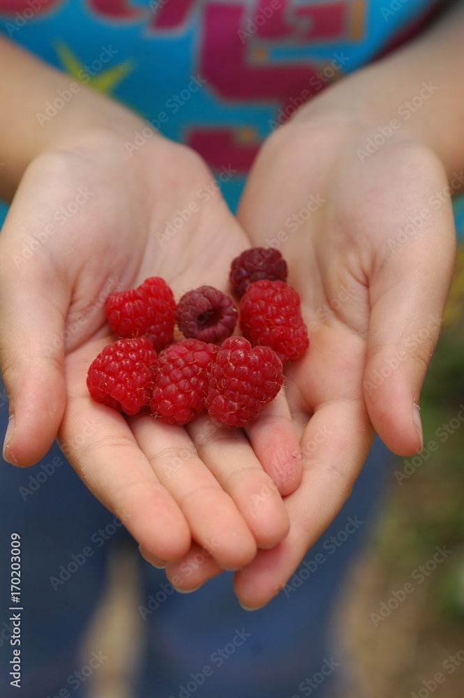 fruit in hand,hand, fruit in hand,hand,