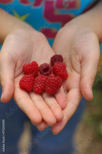 fruit in hand,hand,