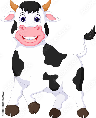 Cute baby cow cartoon