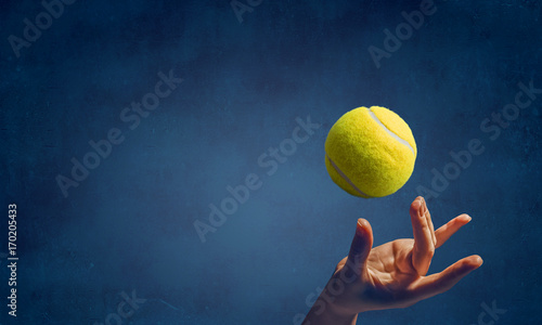 Big tennis concept © Sergey Nivens