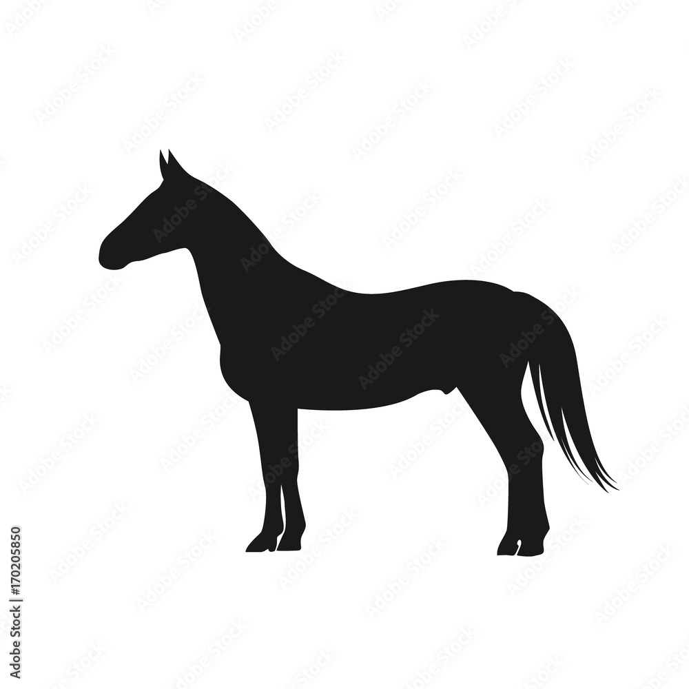 horse, icon, vector illustration 