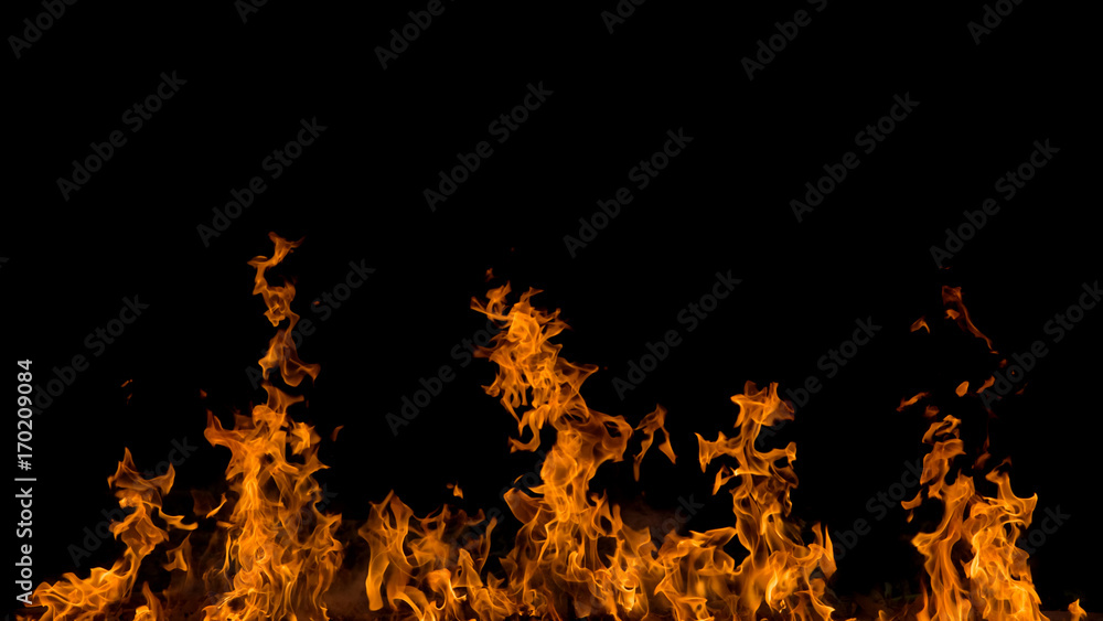 Blazing fire flame on black background Blazing fire flame on black background