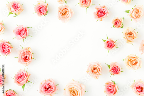 Frame of pink rose on white background. Flat lay