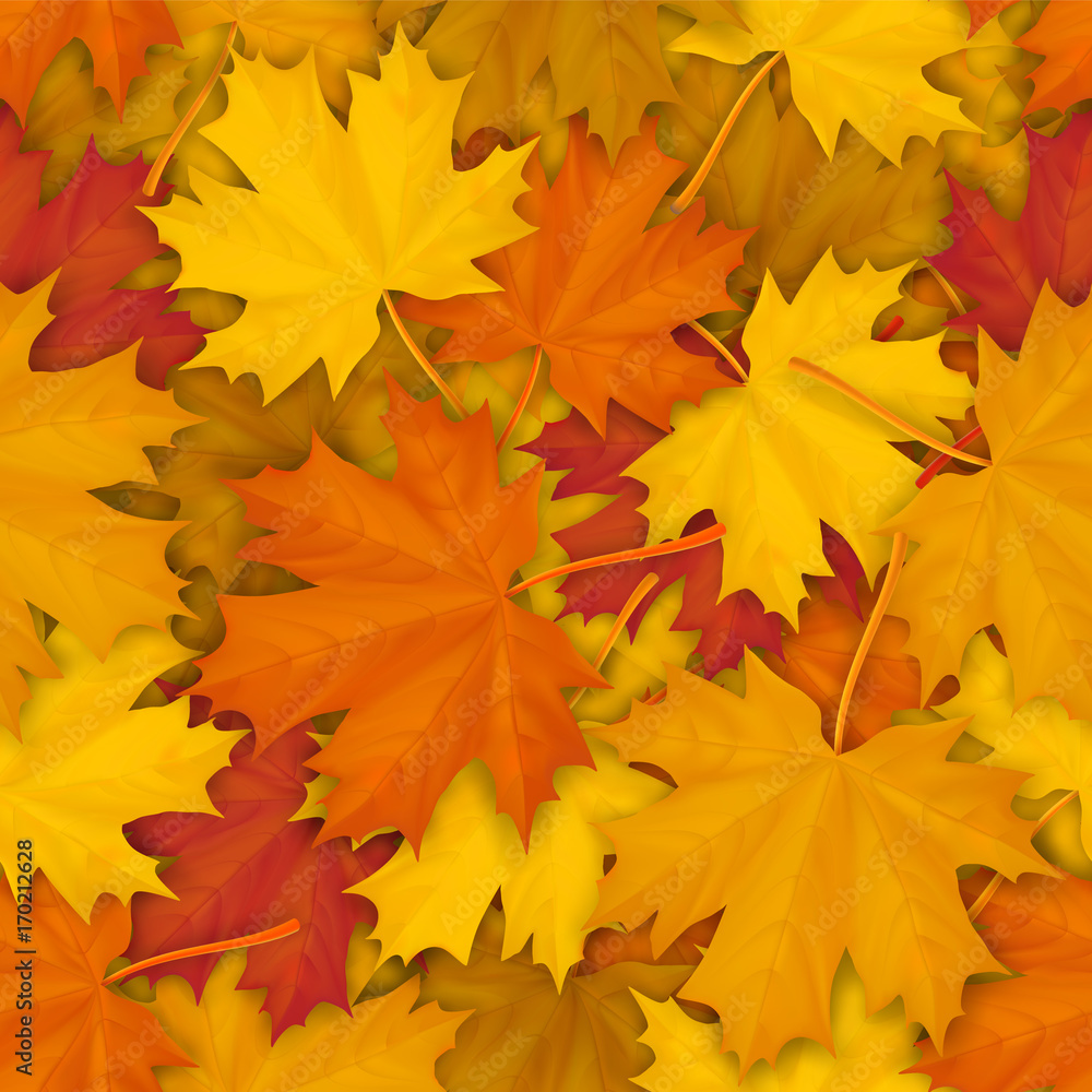 Seamless pattern with autumn fallen maple leaves. Vector realistic background. Seamless pattern with autumn fallen maple leaves. Vector realistic background.