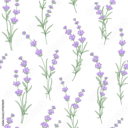 Seamless pattern of lavender flowers on a white background. Watercolor pattern with Lavender for fabric swatch. Seamless pattern for fabric. Vector illustration.