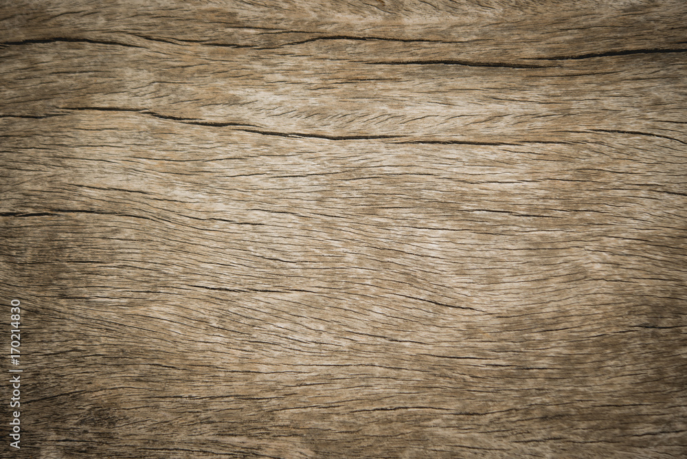 Obraz premium old wood texture background