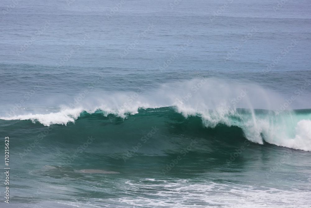 Fototapeta premium Wave