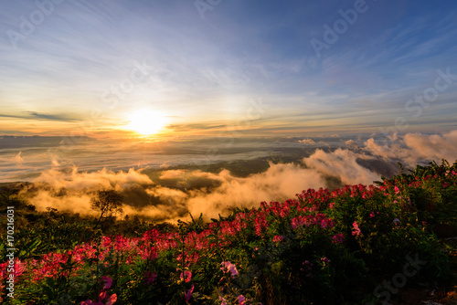 sea of mist on high mountain with sunlight