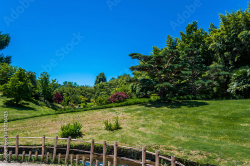 Jardin Japonais.