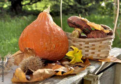 potimarron et champignons sur table dans jardin