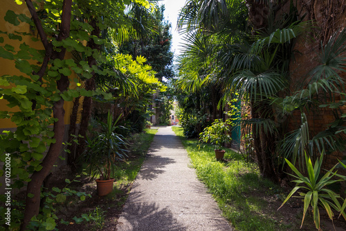 Venice, Italy - August 14, 2017: Picturesque green courtyard in Venice street.