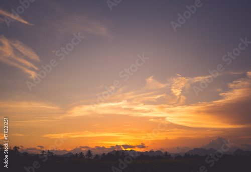 Silhouette of tropical palm trees during sunset.