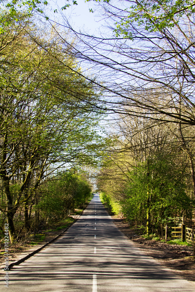 Quite country road through the english countryside