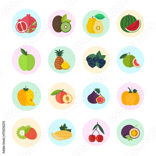 Set Vector Illustration of Berries and Fruits