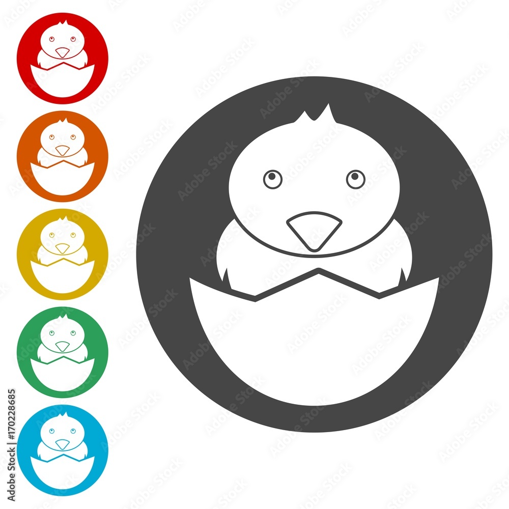 Fototapeta premium Chick hatched from an egg icons set - Illustration 