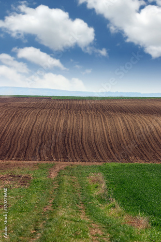 brown and green plowed field landscape