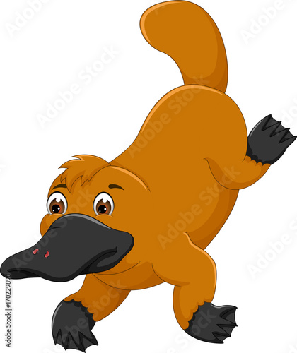 funny platypus cartoon posing body with smiling