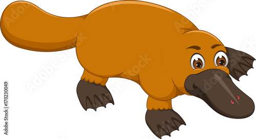 funny face platypus cartoon with smile