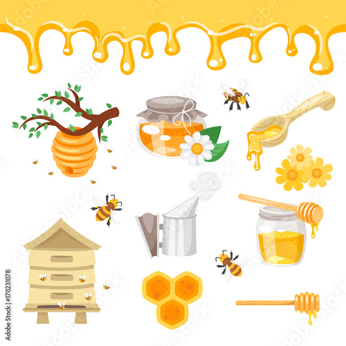 beekeeping and honey illustrations