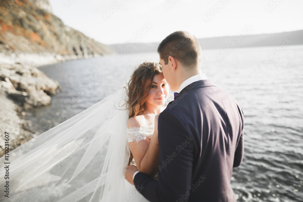Elegant stylish happy wedding couple, bride, gorgeous groom on the background of sea and sky Elegant stylish happy wedding couple, bride, gorgeous groom on the background of sea and sky