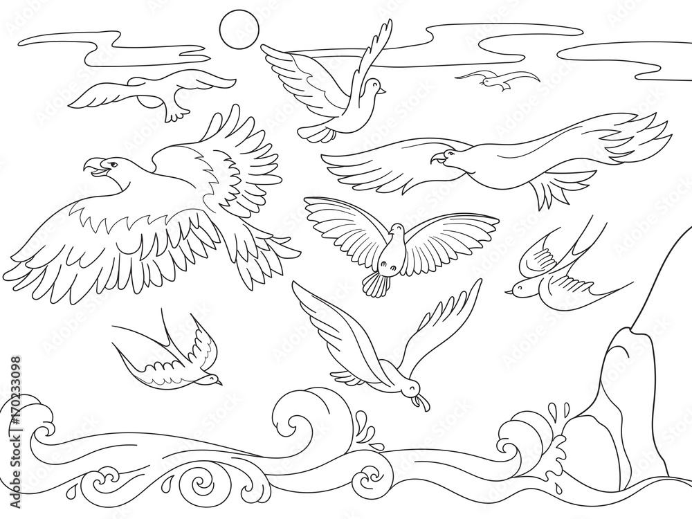 Naklejka premium kolorowanka kreskówka książka dla dzieci. Nad morzem latają różnego rodzaju ptaki. Czarno-białe linie