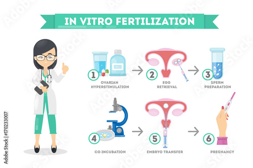 In vitro fertilization. photo