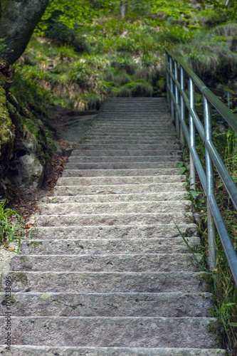 Treppe im Wald
