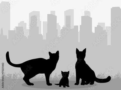 vector, isolated silhouette cat and kitten