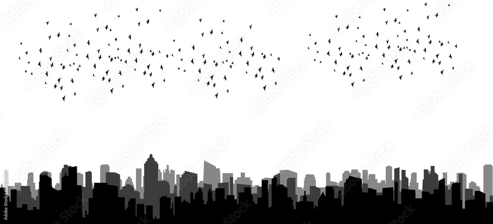 isolated silhouette of flying birds, flock