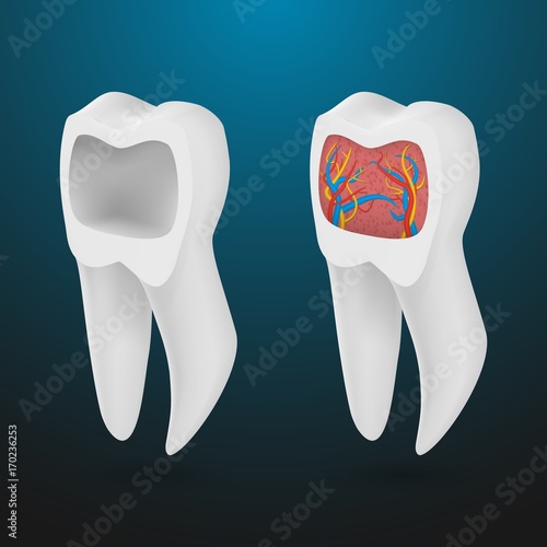 Illustration of Vector Realistic 3D Tooth Set. Healthy Teeth Set Care Vector Product Template