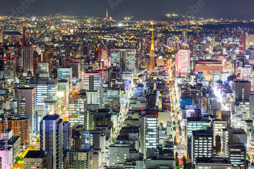 Aerial view of Nagoya © vichie81