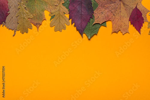 Autumn leaves orange background