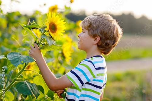 Adorable little blond kid boy on summer sunflower field outdoors