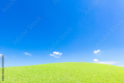 Fototapeta Naklejka Na Ścianę i Meble -  青空と緑の丘