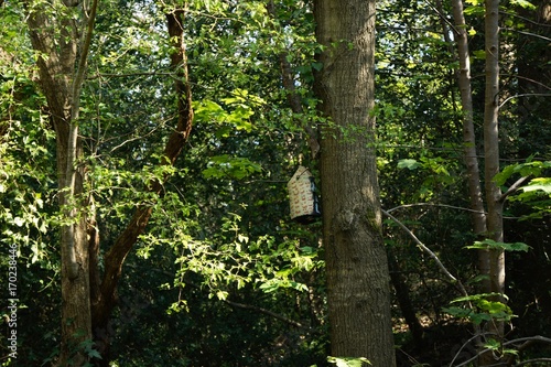 Hidden birdhouse at Lincombe Barn  Bristol