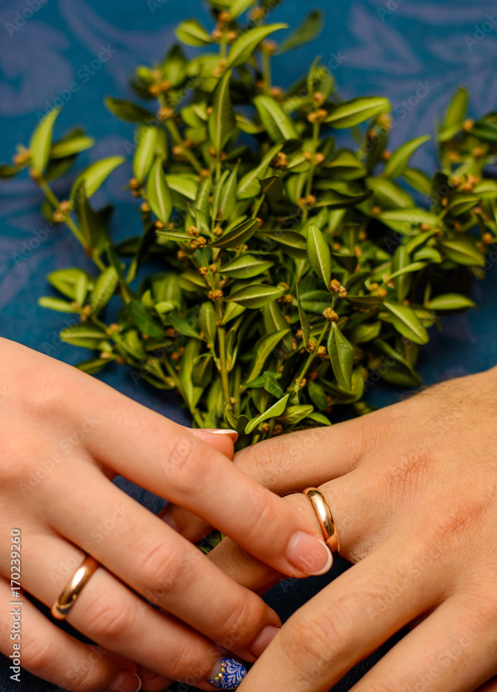 Photo of hands with beautiful wedding rings and green leaves on blue background