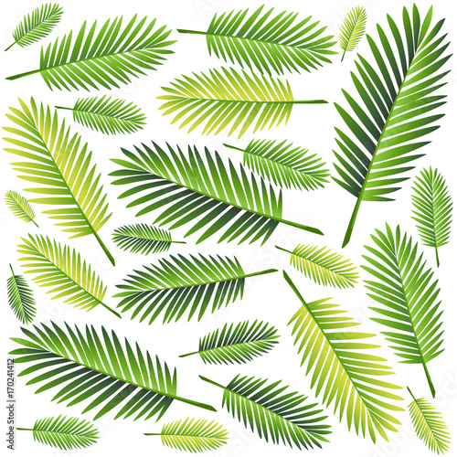 Tropical palm leaves  jungle leaves seamless vector floral pattern background Web site page and mobile app design Vector illustration.