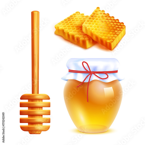 Honey Realistic Icons Set
