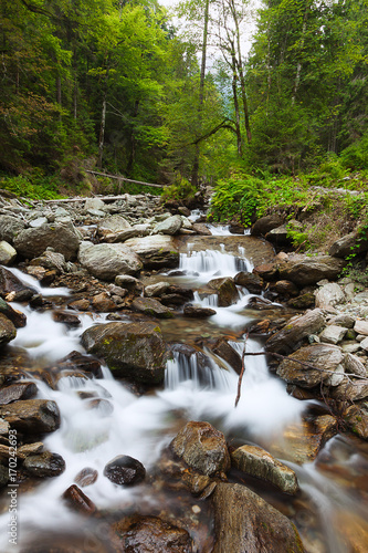 Landscape with wild mountain river in the forest 