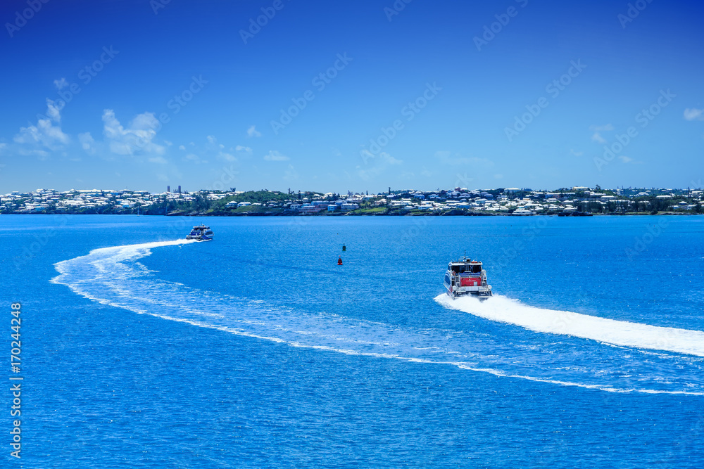 Fototapeta premium Two Ferries on Blue