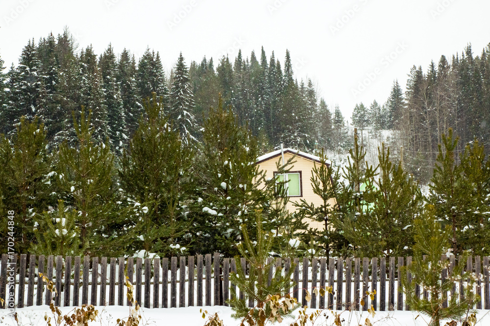 Village in a winter and snowfall Village in a winter and snowfall