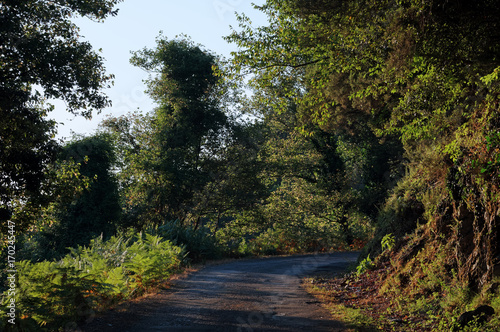 Route et montagne de Costa verde en Haute Corse