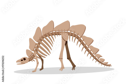 Bone of Stegosauras isolated on white  vector