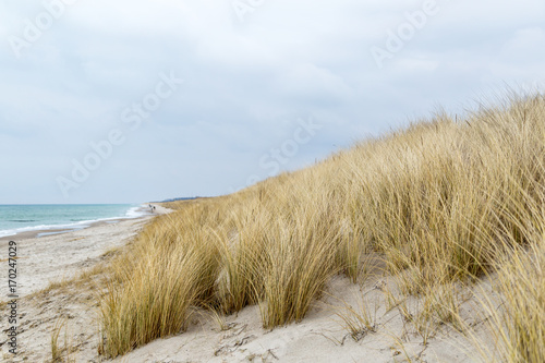 Fototapeta Naklejka Na Ścianę i Meble -  Dünengras weht im Wind und im Hintergrund ist das Meer zu sehen