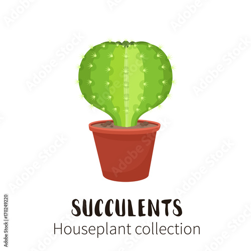 Cactus icons in a flat style on a white background. Home plants cactus in pots and with flowers. A variety of decorative cactus with prickles and without.