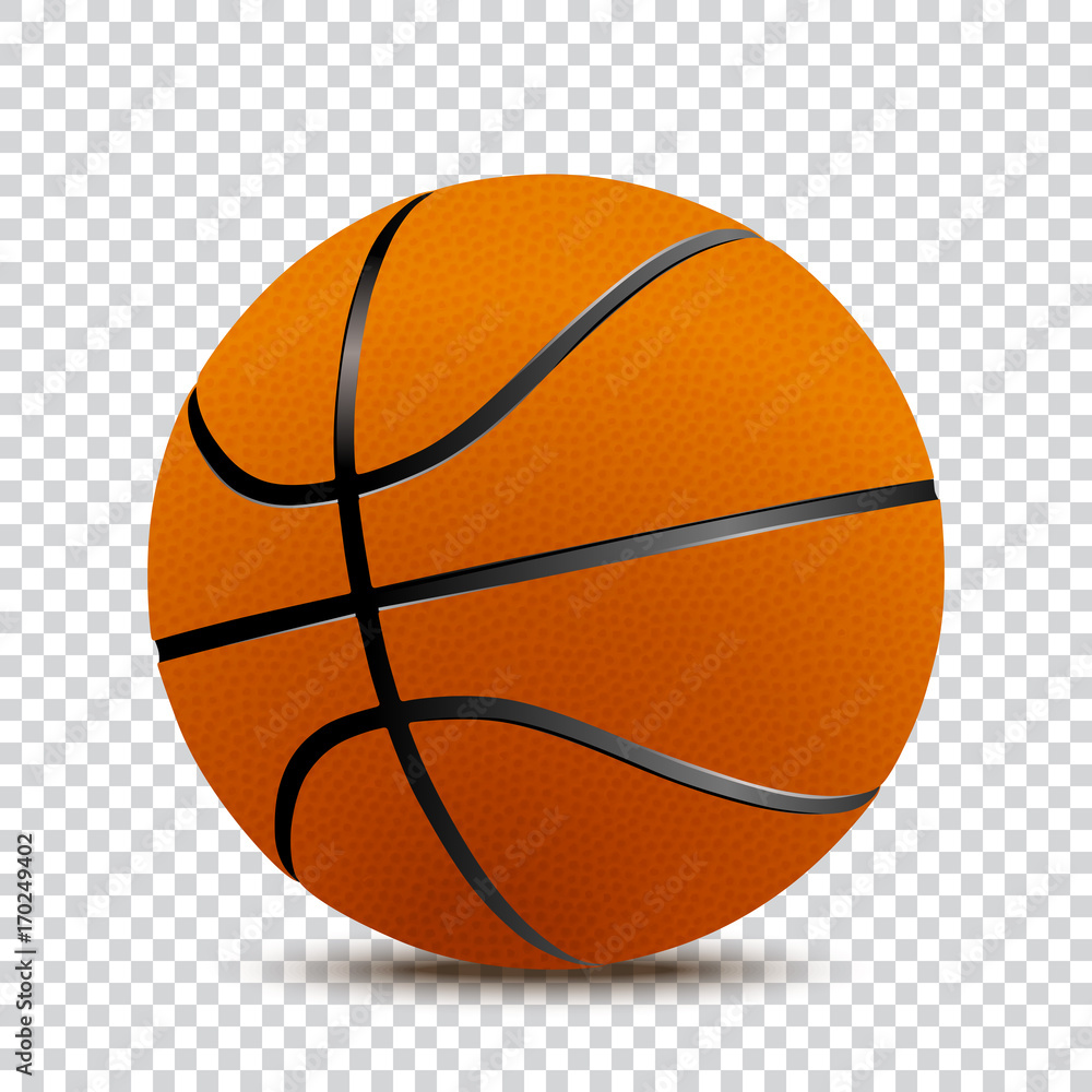 Basket ball. Vector