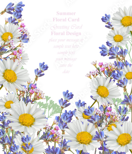 Chamomile and lavender summer card Vector background illustration